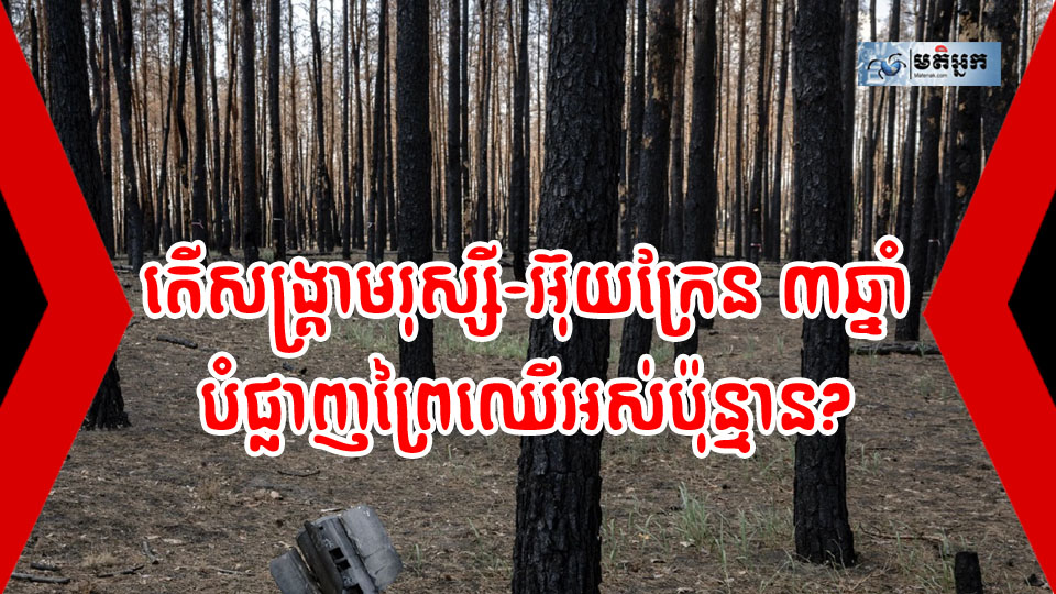 តើសង្គ្រាមរុស្ស៊ី-អ៊ុយក្រែន ៣ឆ្នាំ បានបំផ្លាញព្រៃឈឺអស់ប៉ុន្មាន?