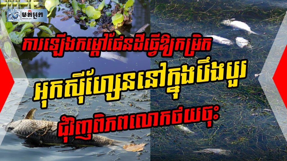 ការឡើងកម្តៅផែនដីកំពុងធ្វើឱ្យកម្រិតអុកស៊ីហ្សែននៅក្នុងបឹងបួរជុំវិញពិភពលោក ធ្លាក់ចុះយ៉ាងឆាប់រហ័ស