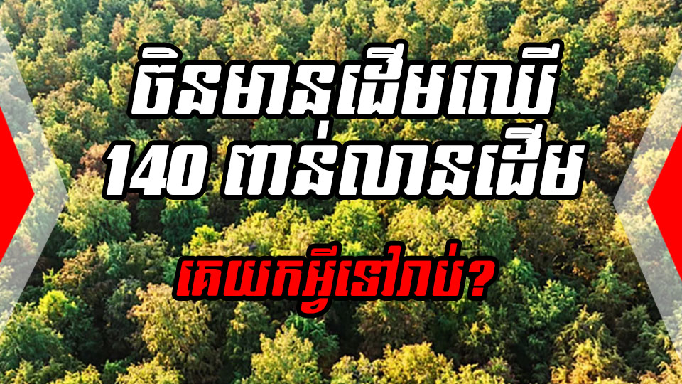 គួរយល់ដឹង ! ចិនមានដើមឈើជាង 140 ពាន់លានដើម! ផ្តល់សារៈសំខាន់លើលំហបៃតង (Green space)  