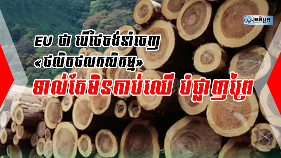 សហភាពអឺរ៉ុបថា បើថៃចង់នាំចេញ«ផលិតផលកសិកម្ម» ត្រូវតែមិនកាប់ឈើ បំផ្លាញព្រៃ